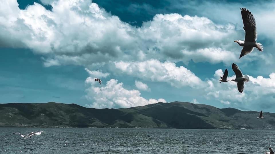 Guest House At The Lake Sevan Luaran gambar